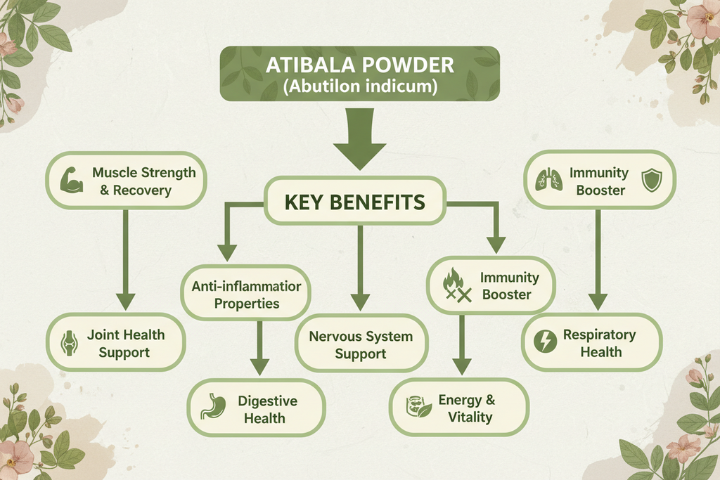 VedaRasa Atibala Powder 100% Pure & Natural Atibala (Abutilon Indicum) Powder | Ayurvedic Herbal Supplement | Supports Strength, Vitality & Immunity | No Additives